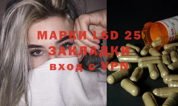 стаф Вязники