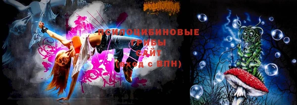 ешки Горняк