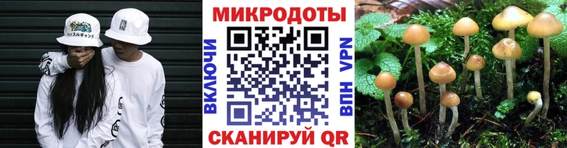Галлюциногенные грибы мицелий Кимры