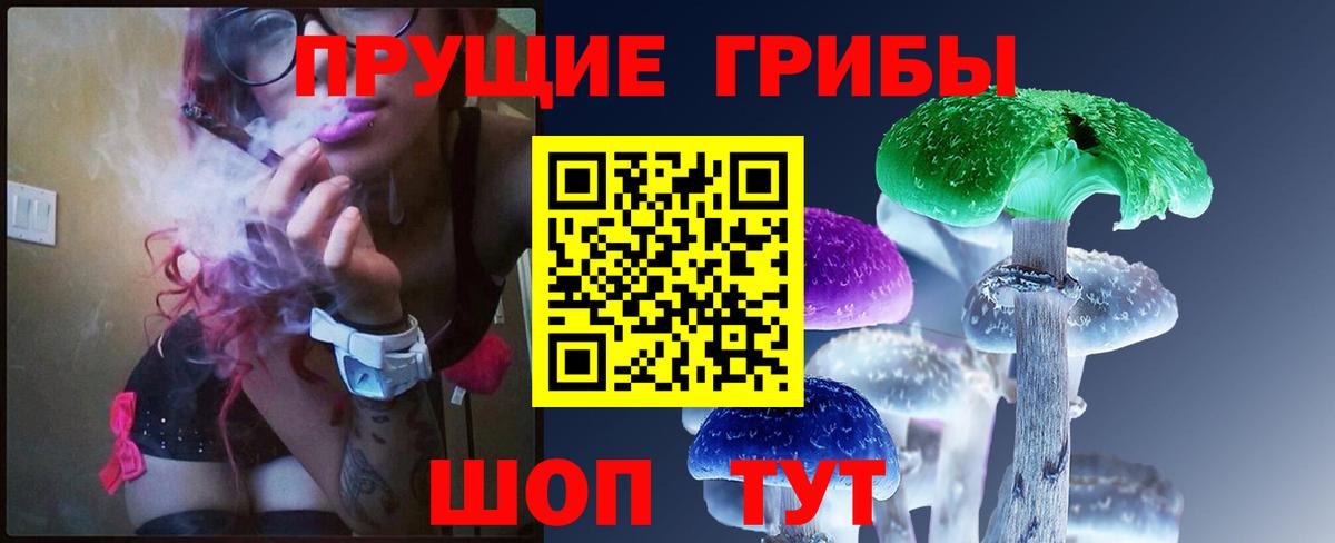 купить закладку  Вход с VPN  Кимры  Псилоцибиновые грибы мухоморы 